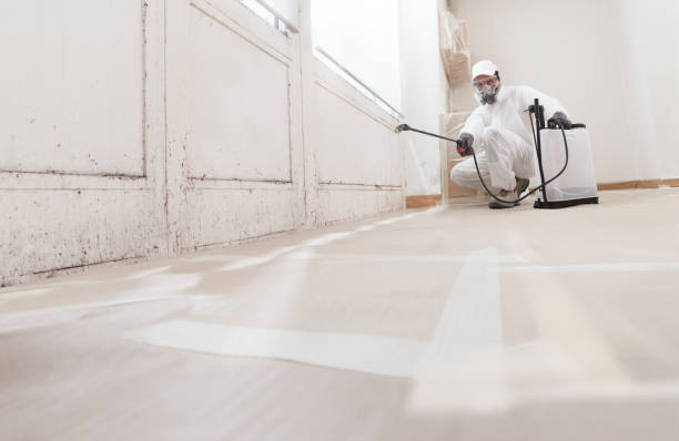 24/7 Emergency Black Mold Removal experts in Linden, TX